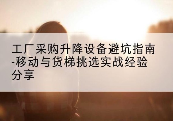 武隆区移动式升降机怎么选-工厂采购升降设备避坑指南-移动与货梯挑选实战经验分享