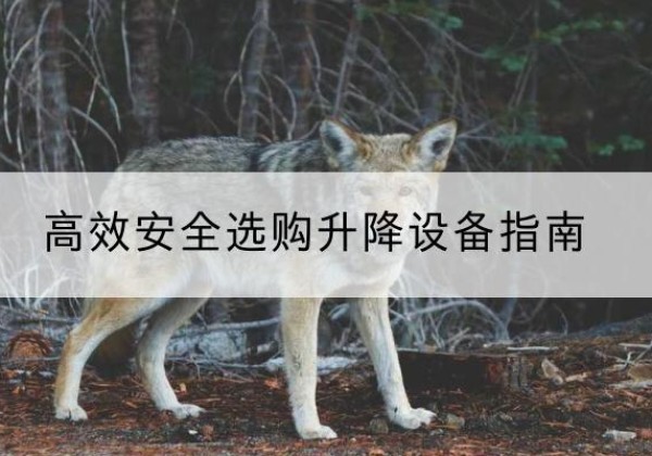 武隆区升降货梯厂家推荐-*安全选购升降设备指南
