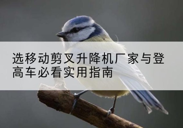 武隆区电动升降机厂家-选移动剪叉升降机厂家与登高车必看实用指南